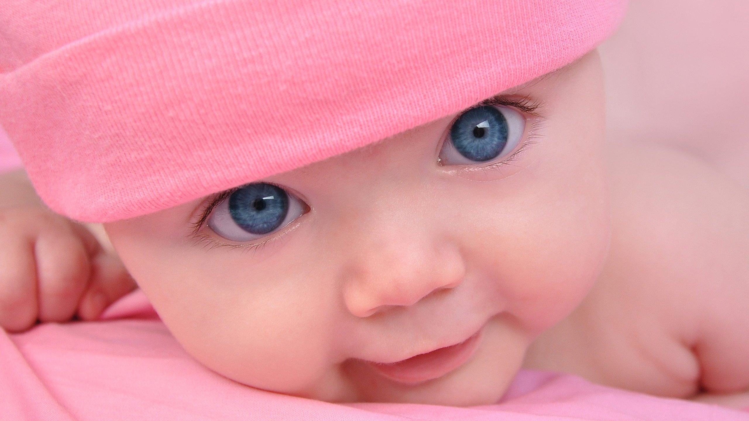 捐卵机构中心试管婴儿囊胚成功率